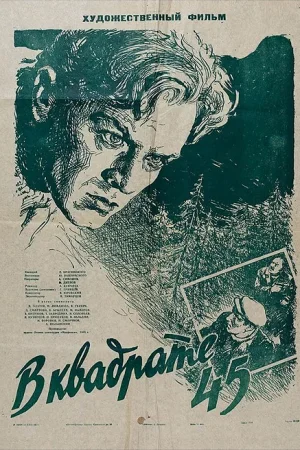 В квадрате 45 